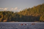 Kayakers off Northern Vancouver Island in British Columbia sit patiently for a pod of Orca to pass by.