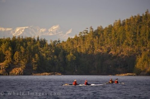 Kayakers Vancouver Island